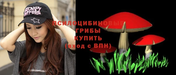 эйфоретик Алексин