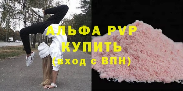 стаф Магас