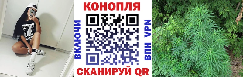 ссылка на мегу   Чапаевск  Конопля White Widow 